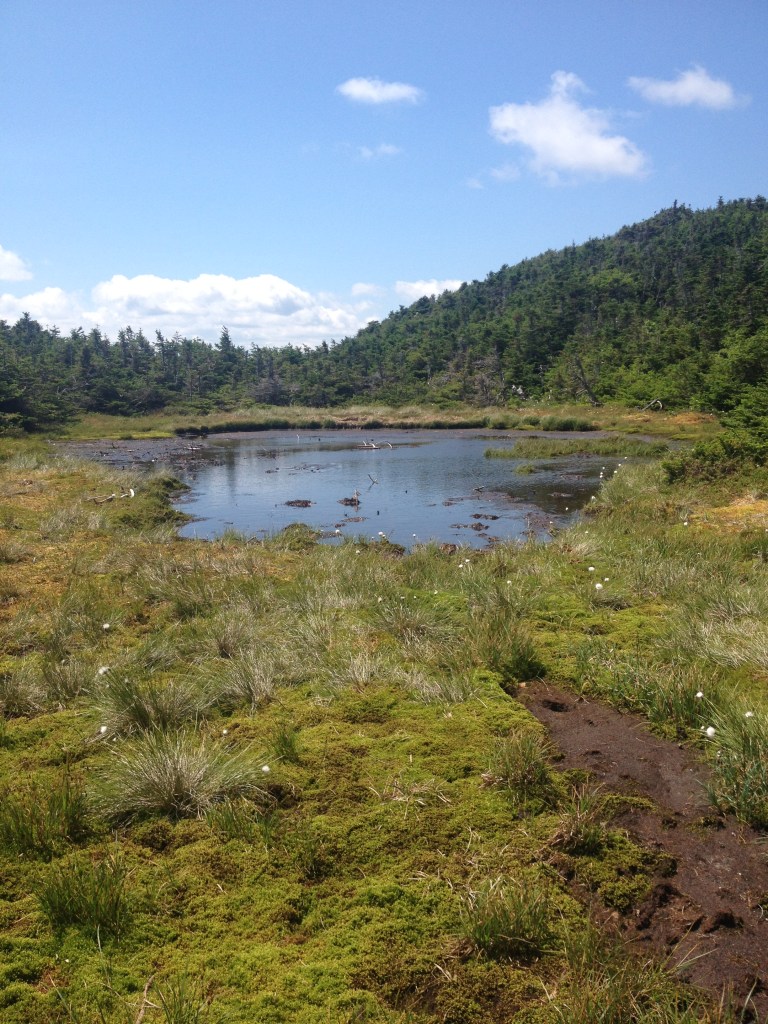 Appalachian Trail, Presidential Range, NH