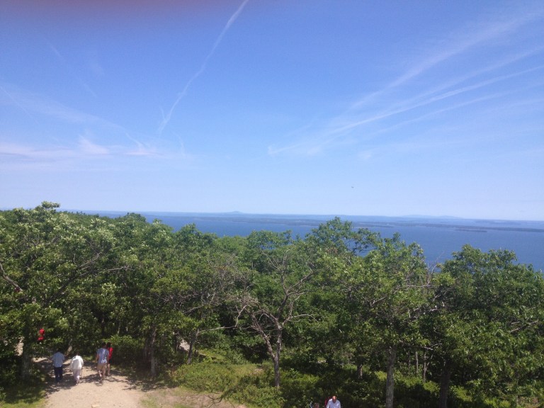 Mt Dessert Island von Ferne