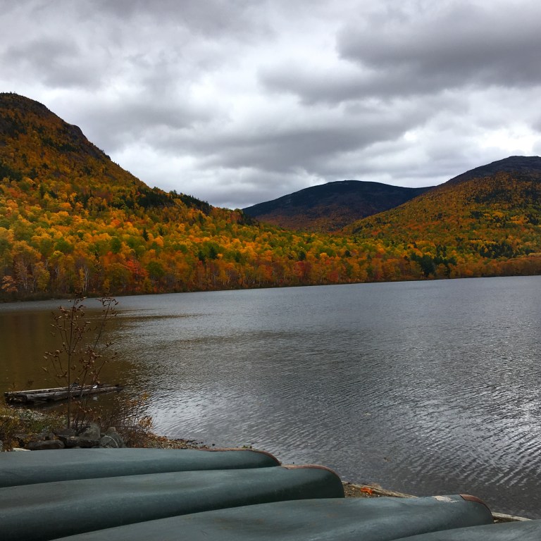 Lower South Branch Pond