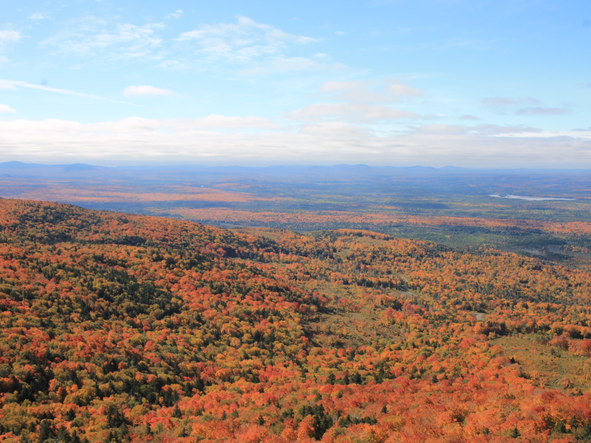 Maines brennende Wälder