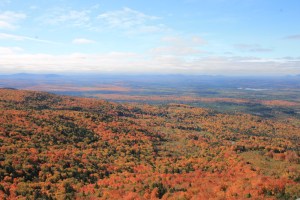 Maines brennende Wälder