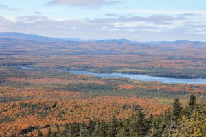 Blick vom Eagle Rock