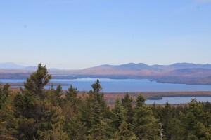 Blick vom Eagle Rock