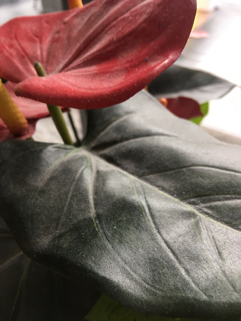 DB Lounge Frankfurt Hbf