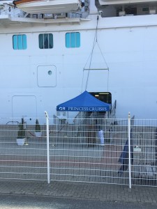 Zwei Bäumchen weisen den Weg zureück aufs Schiff