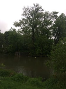 Murky Evening in Leipzig
