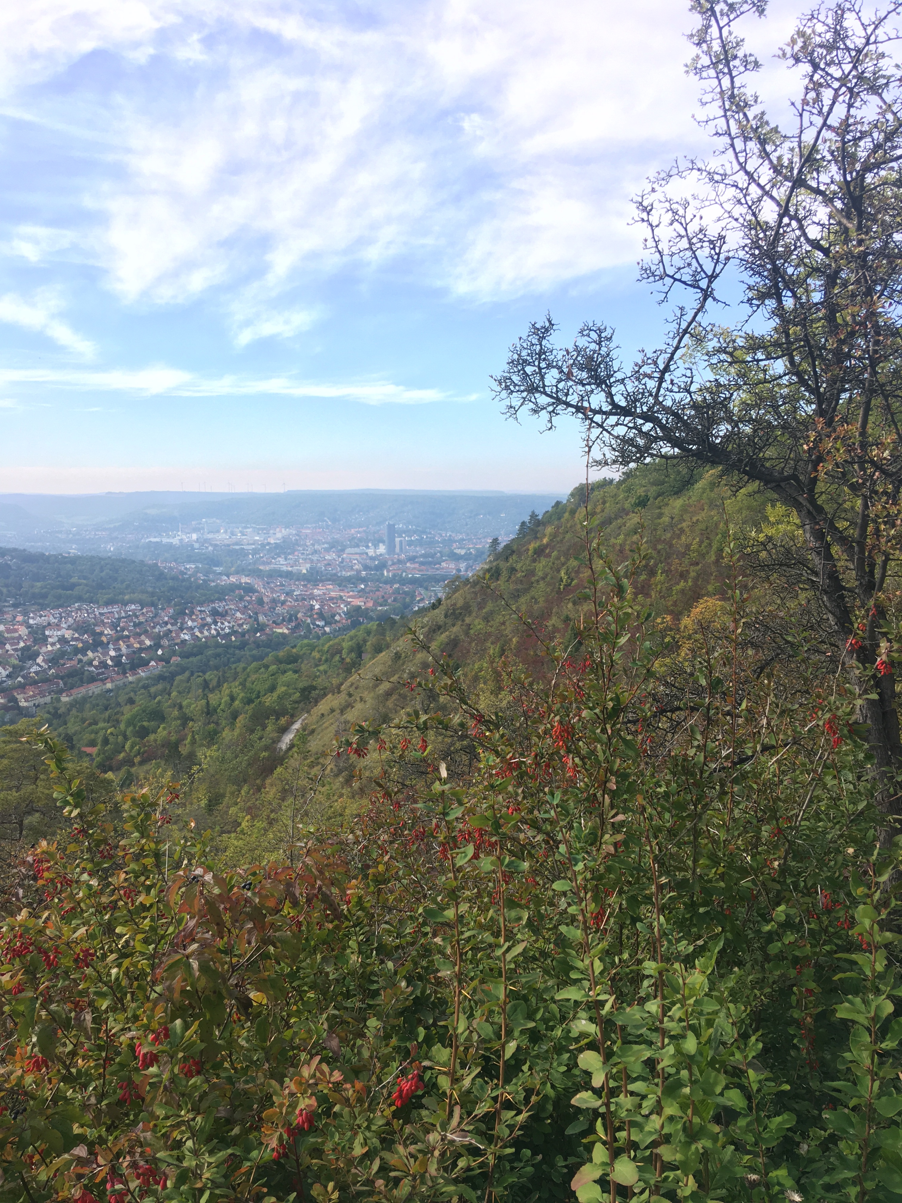 Blick vom Jenzig auf Jena