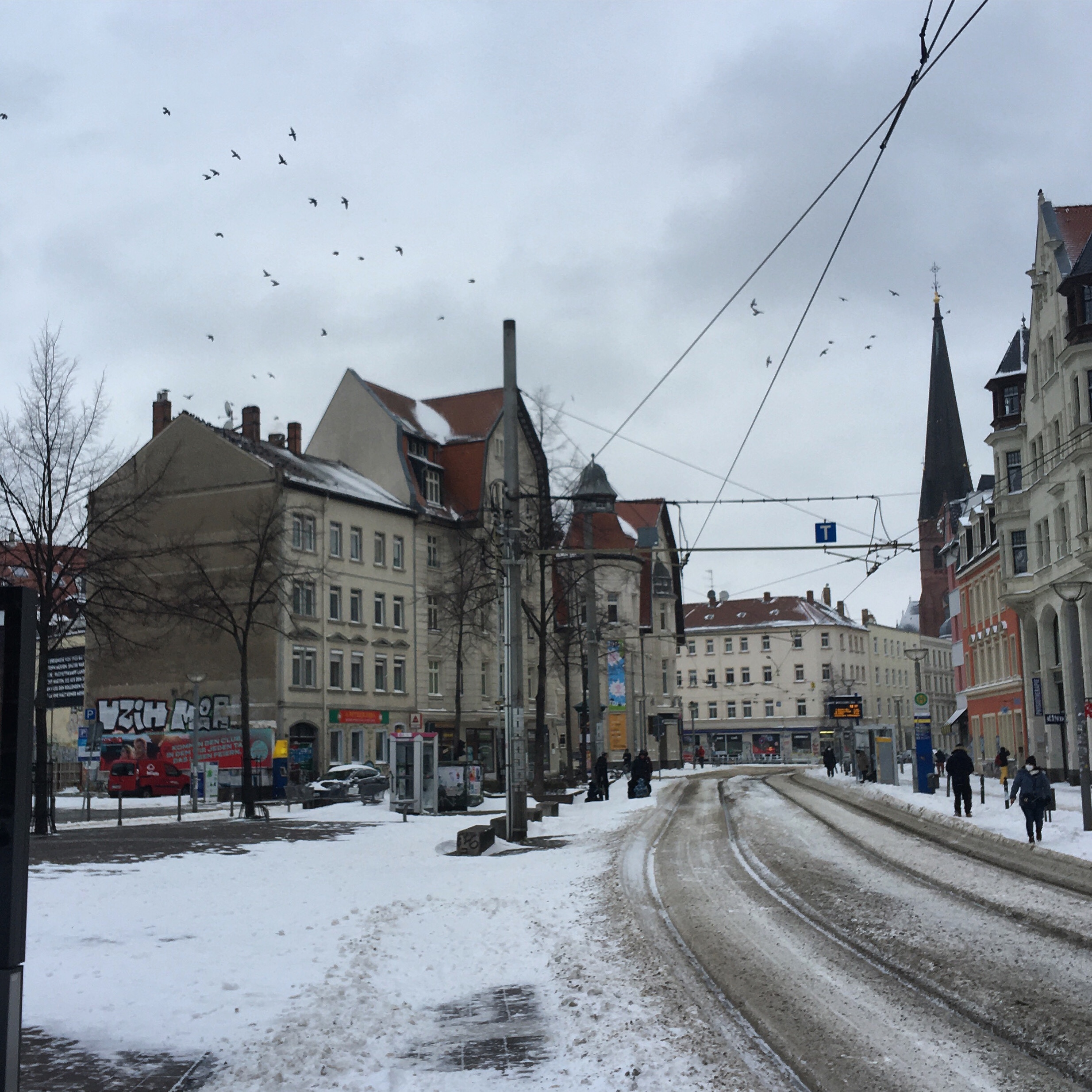 Vögel über dem Lindenaur Markt in Leipzig