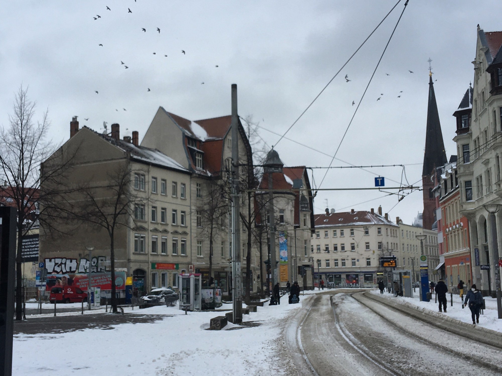 Vögel über dem Lindenaur Markt in Leipzig