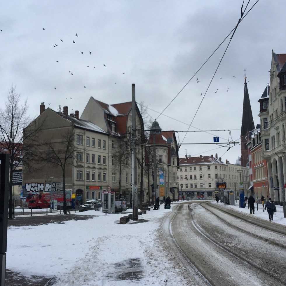 Vögel über dem Lindenaur Markt in Leipzig