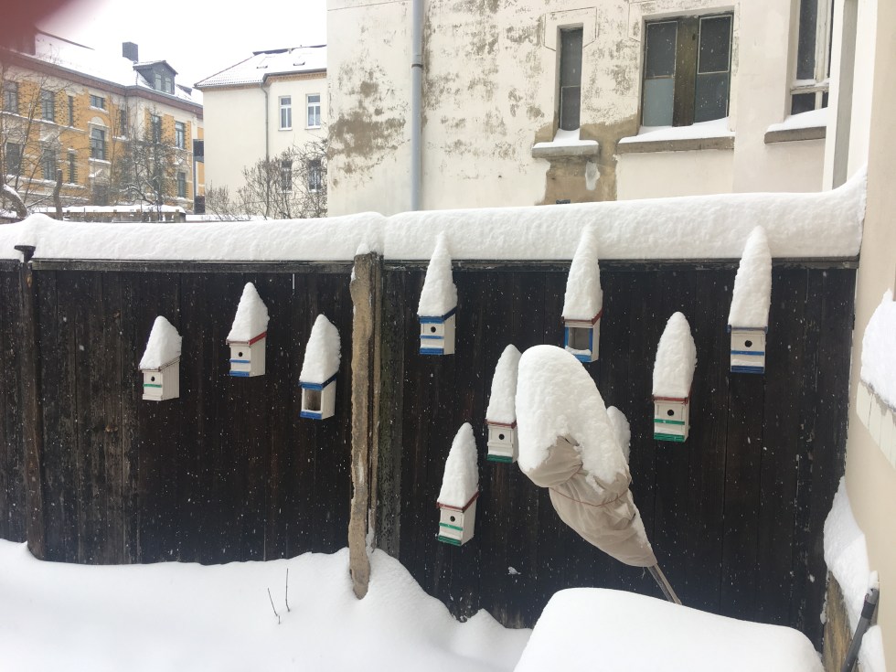 Rekordwinter in Leipzig-Lindenau