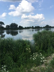 Kiel Canal (Nord-Ostseekanal) in July