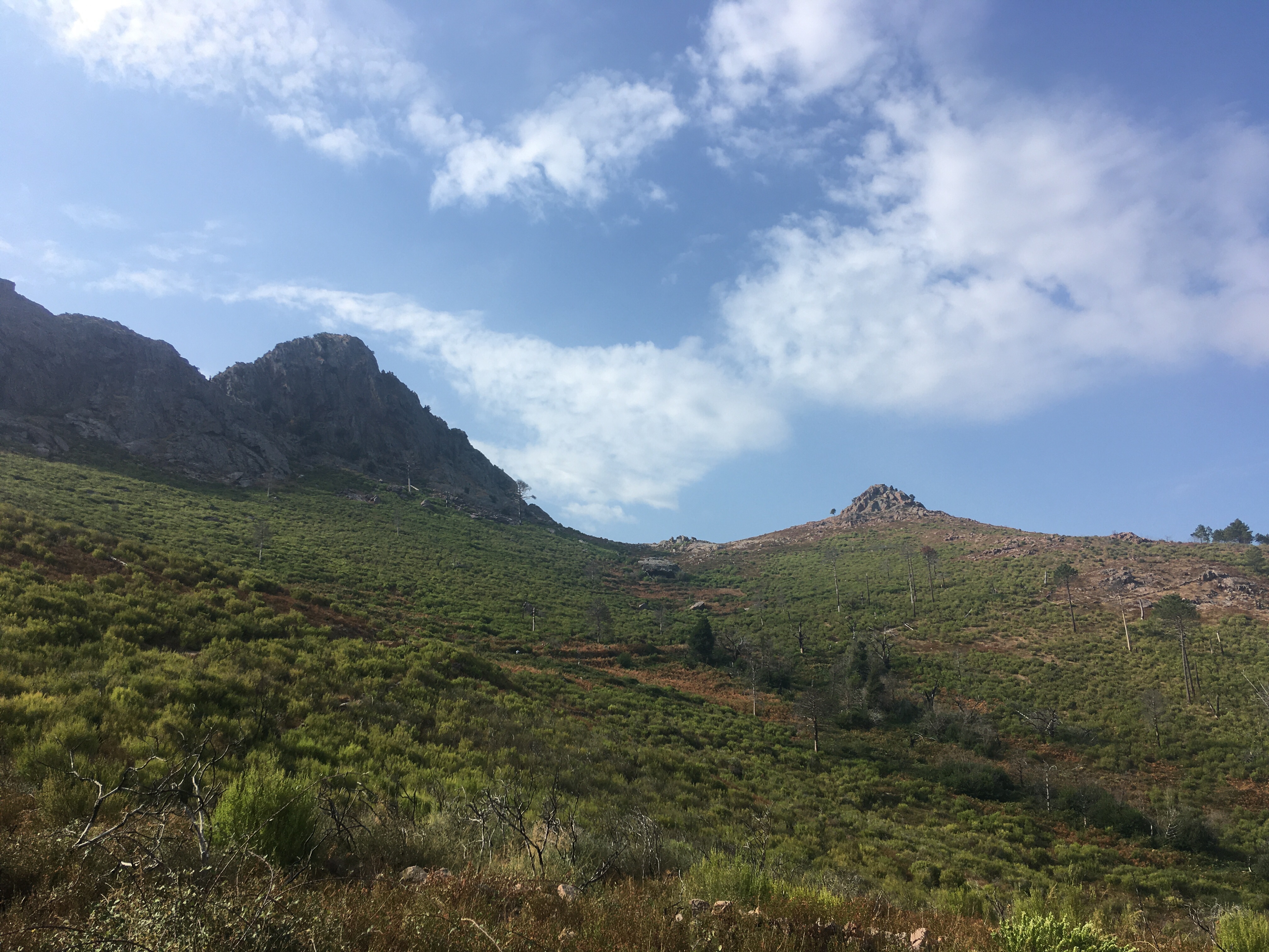 Wanderung von Calenzana auf den Boucle de Corbaggio