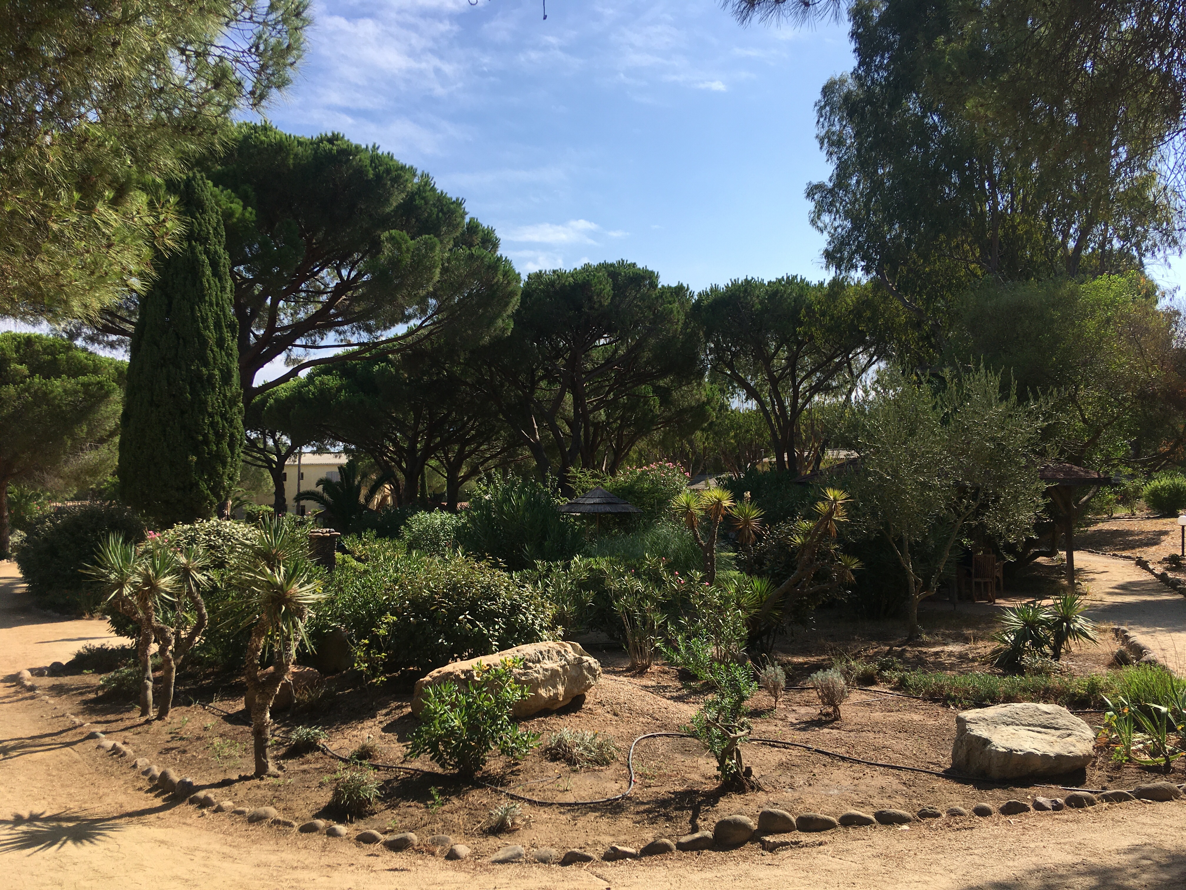 Impressionen aus dem Feriendorf zum Störrischen Esel, Calvi - Korsika August 2021
