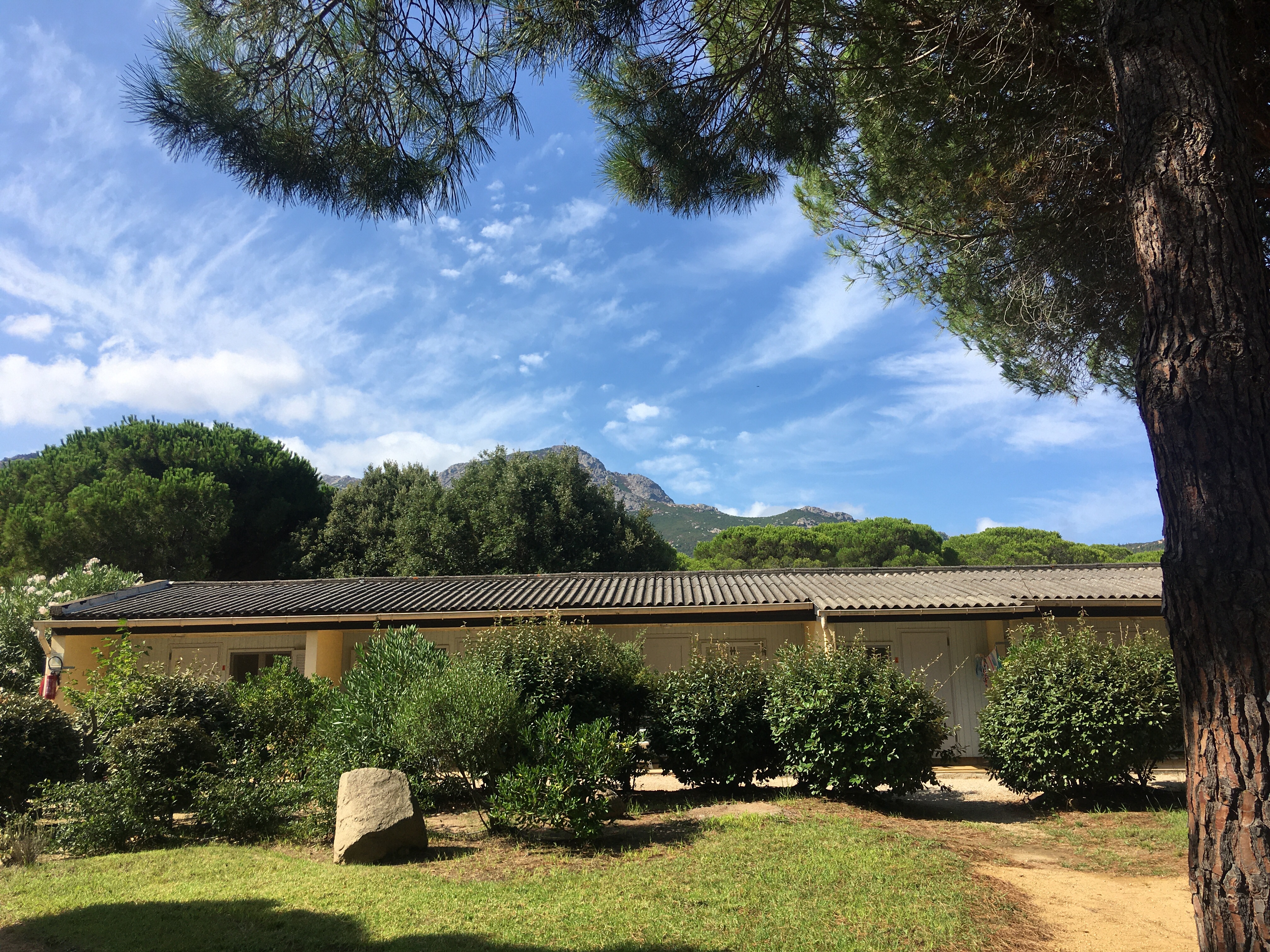 Impressionen aus dem Feriendorf zum Störrischen Esel, Calvi - Korsika August 2021