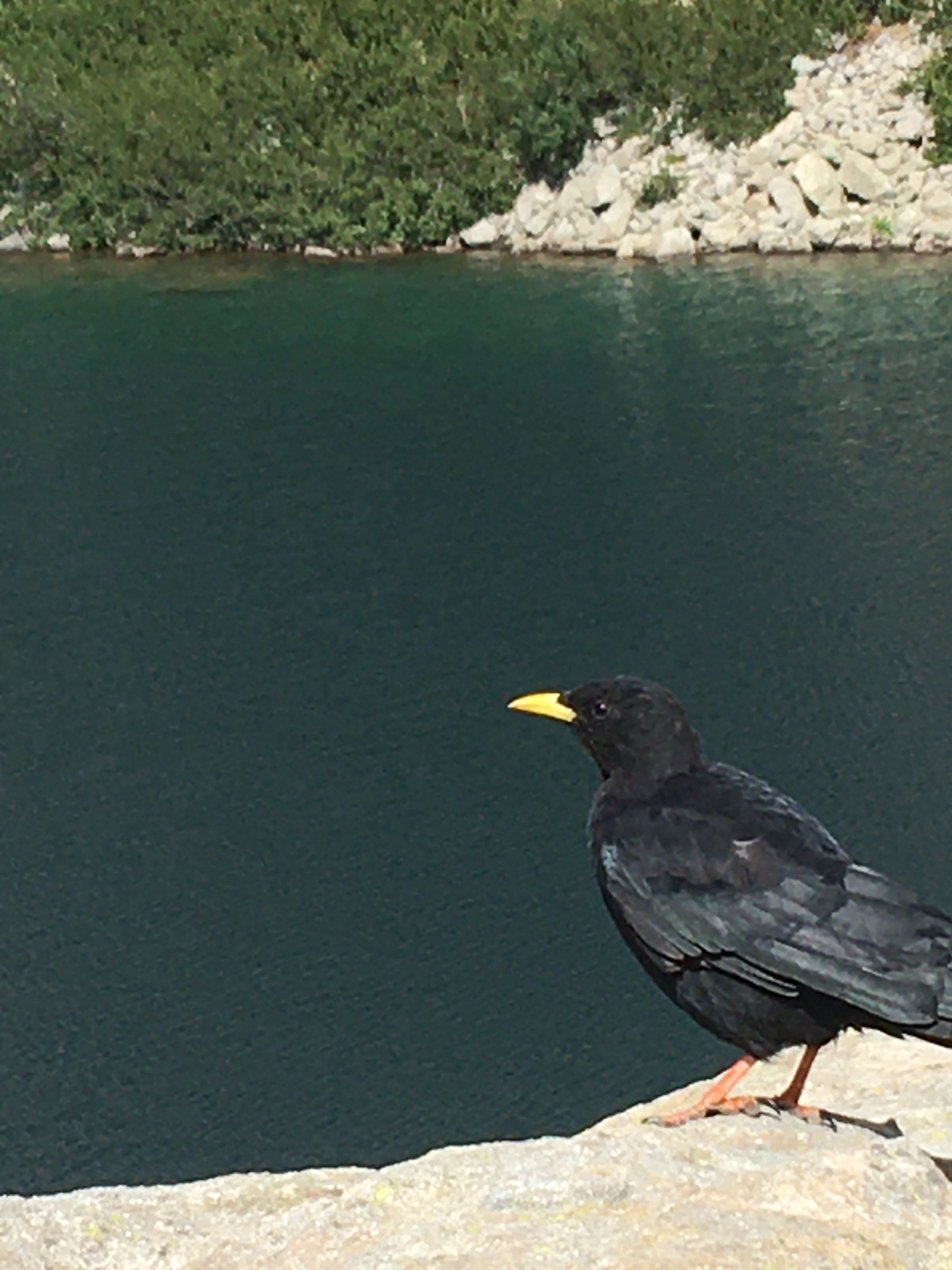 Wanderung zum Melosee und Capitellosee