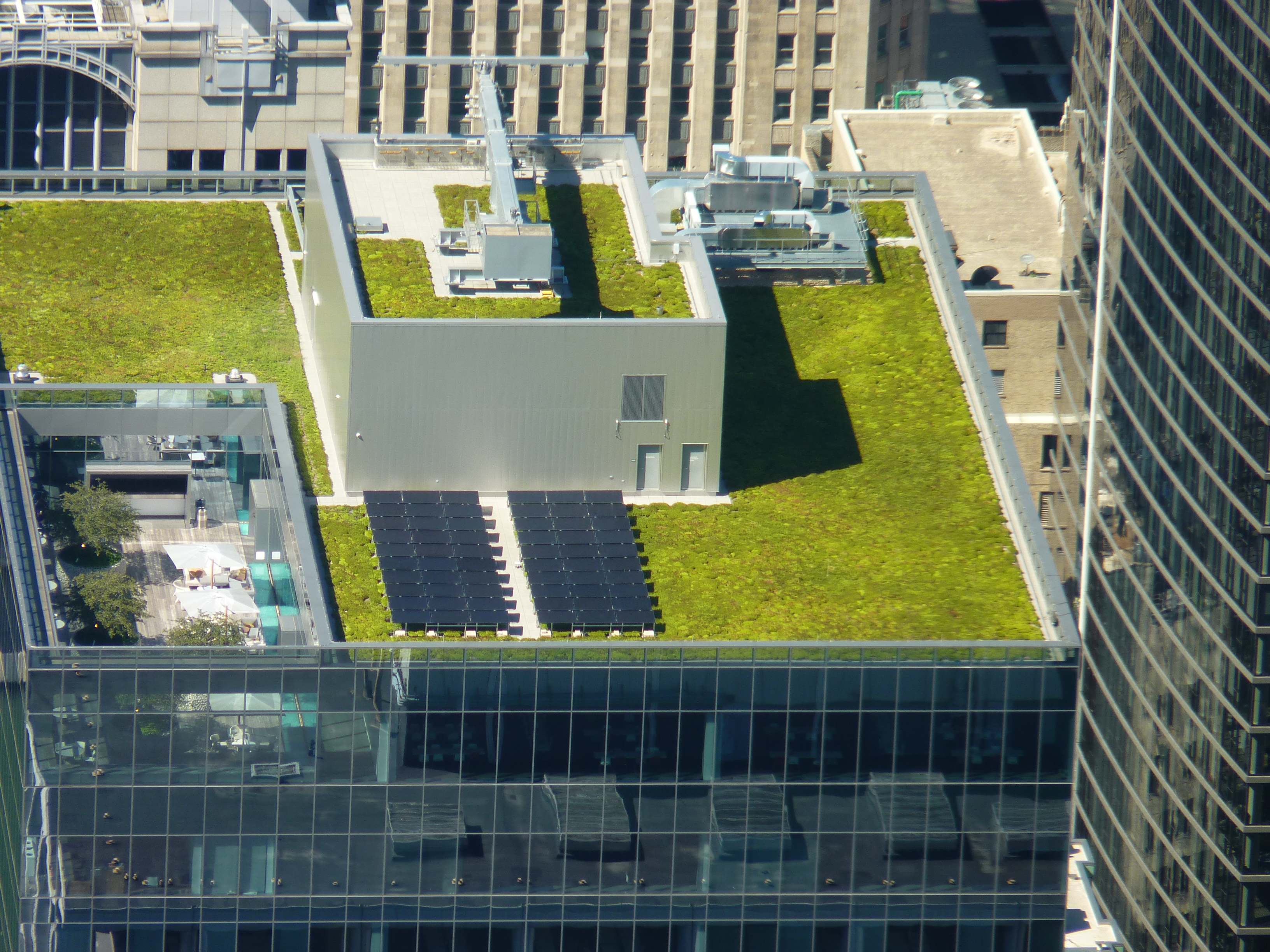 View from Willis Tower Chicago