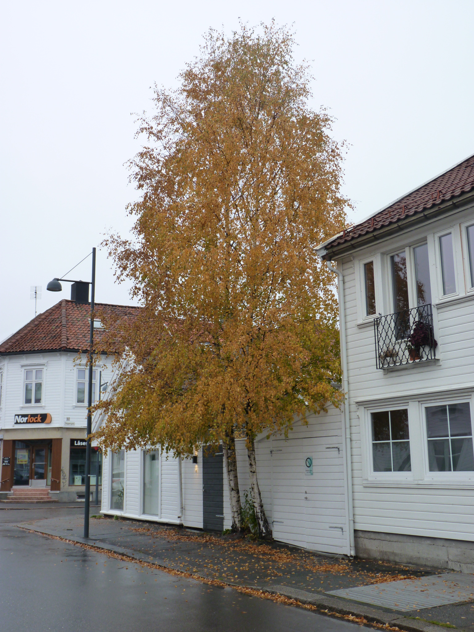 Kristiansand Posebyen Old Town
