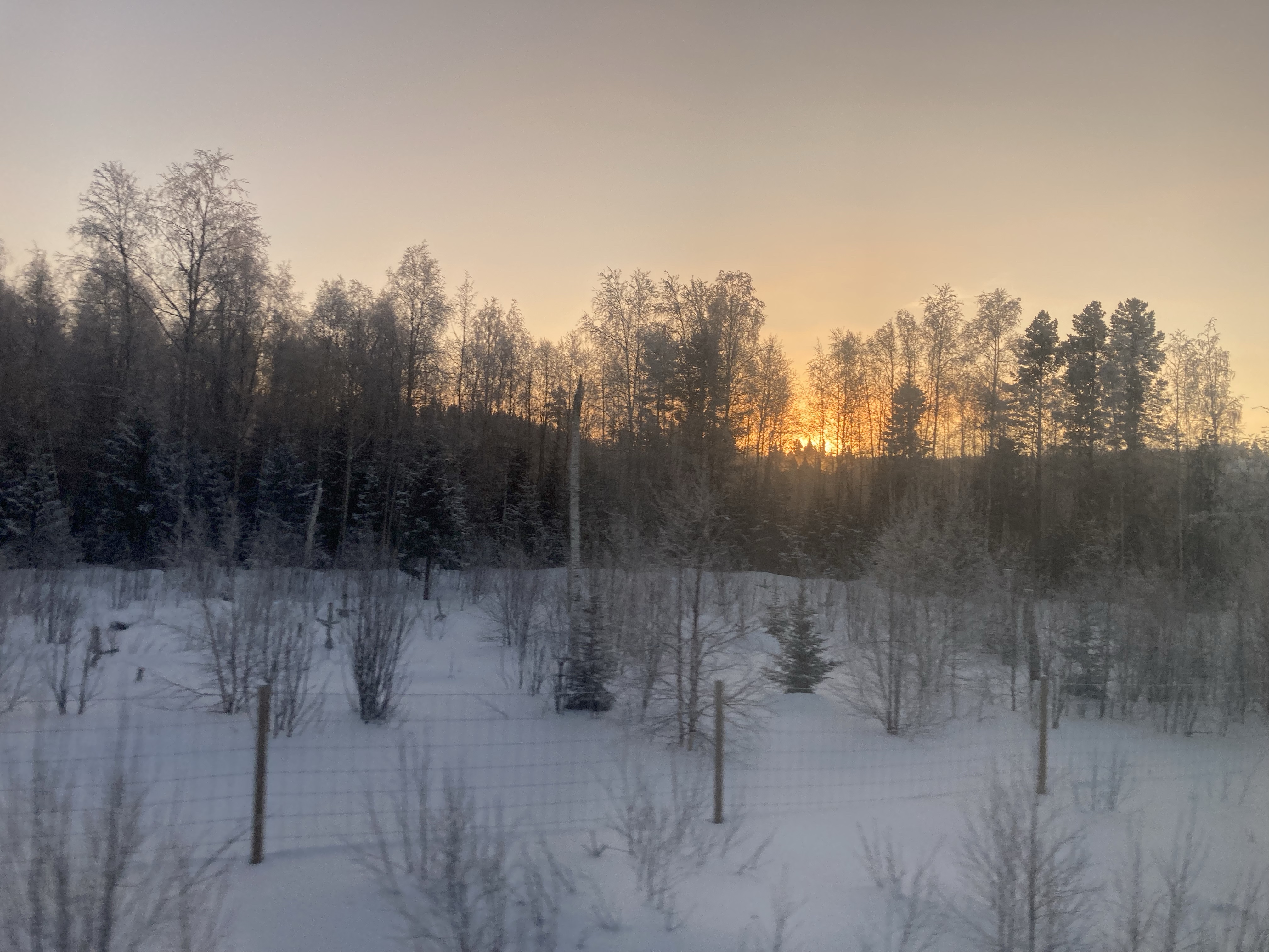 Vy night train 'Arctic Circle Train' Boden C sunrise