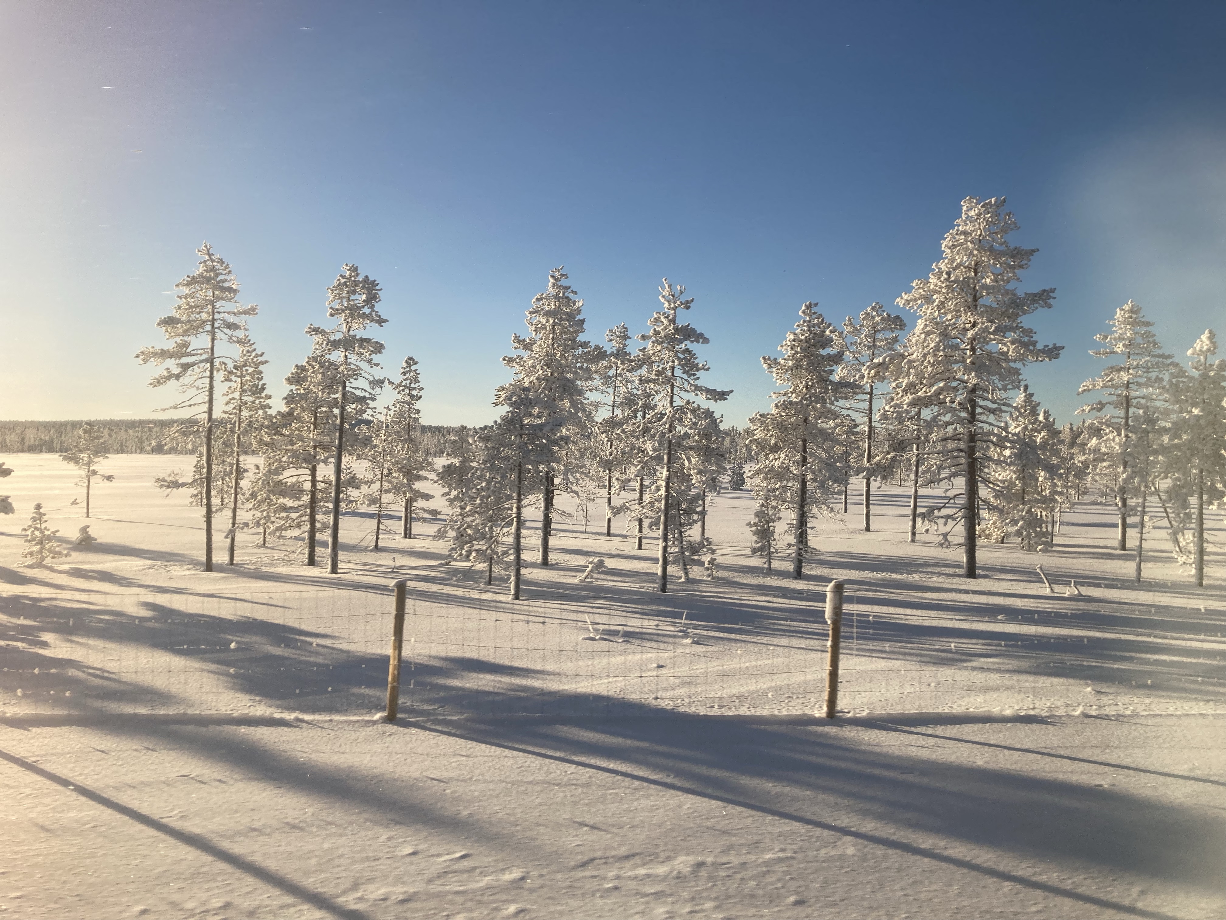 Vy night train 'Arctic Circle Train' sleeper day configuration