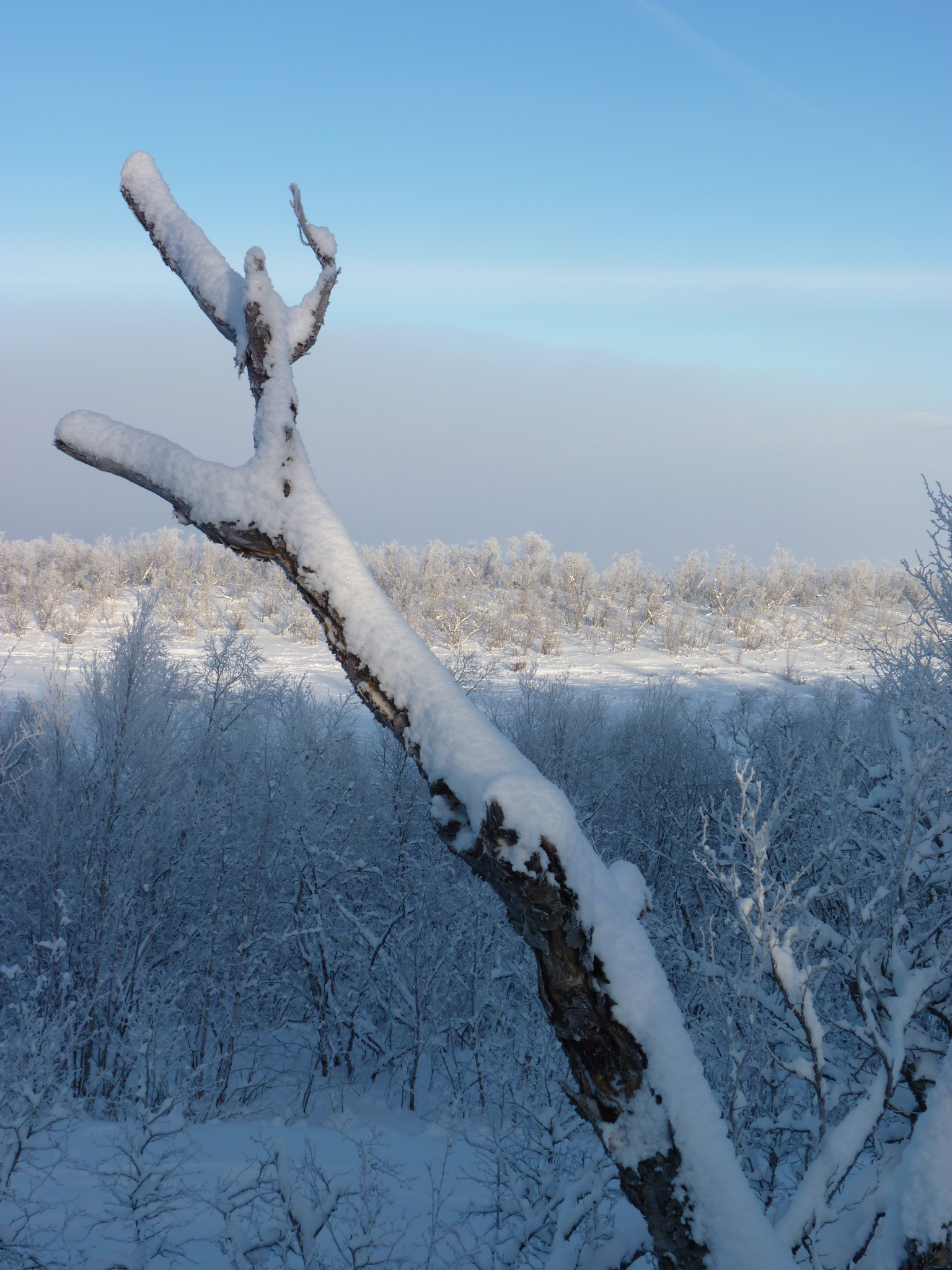 On the shore of lake Torneträsk near Abisko, Sweden