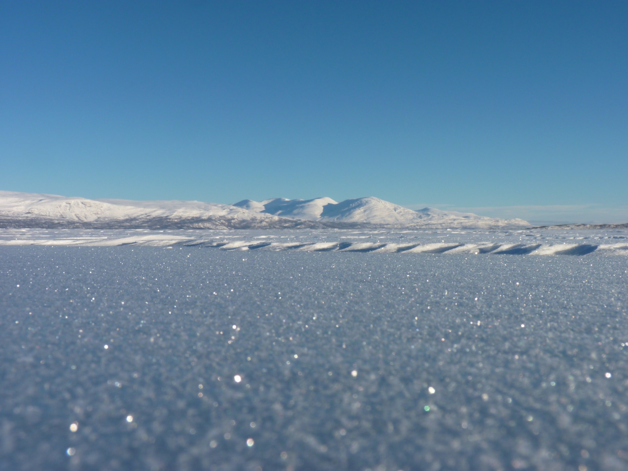 On the shores of Lake Torneträsk near Abisko, Sveden