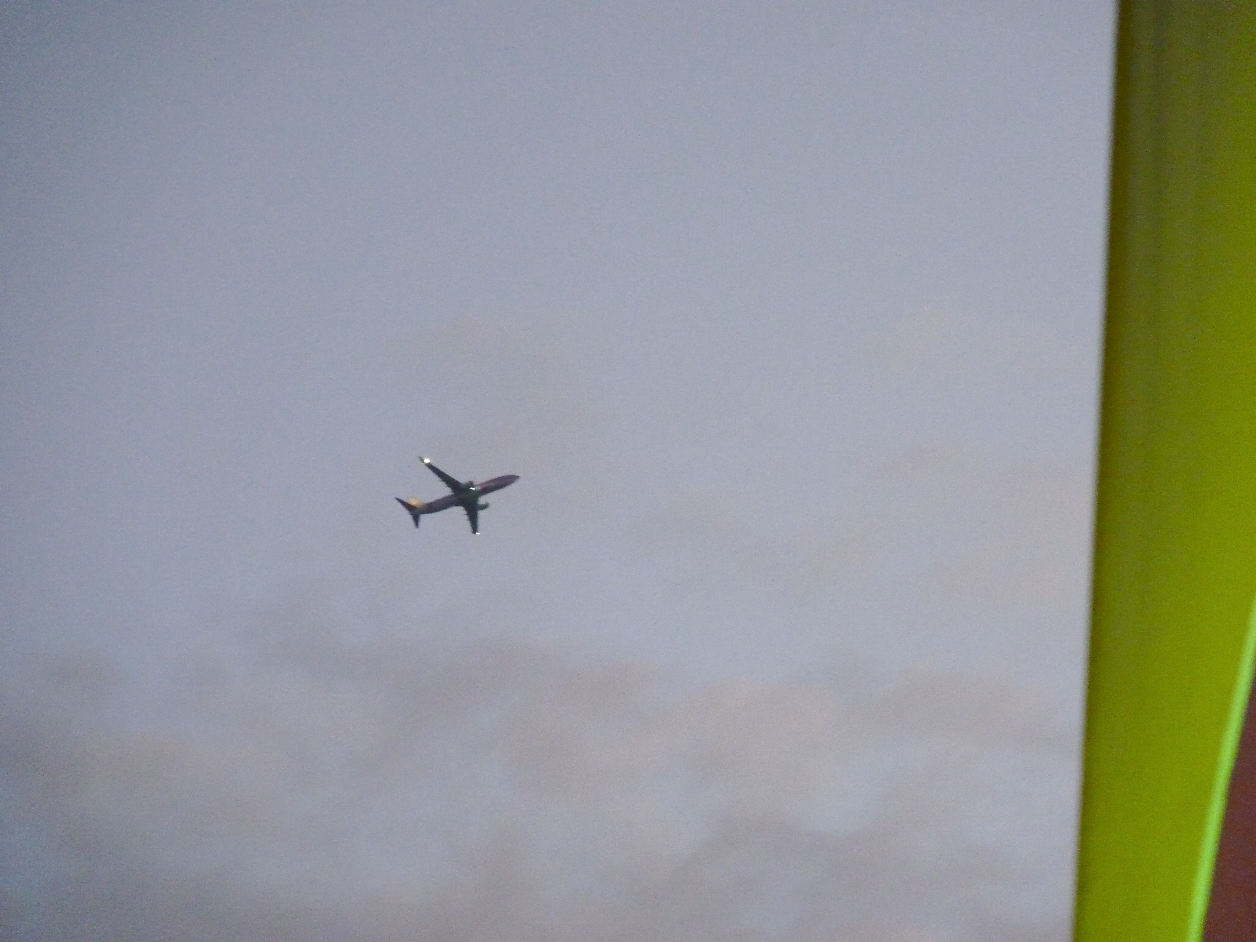 Maybe tomorrows ride back to the mainland?