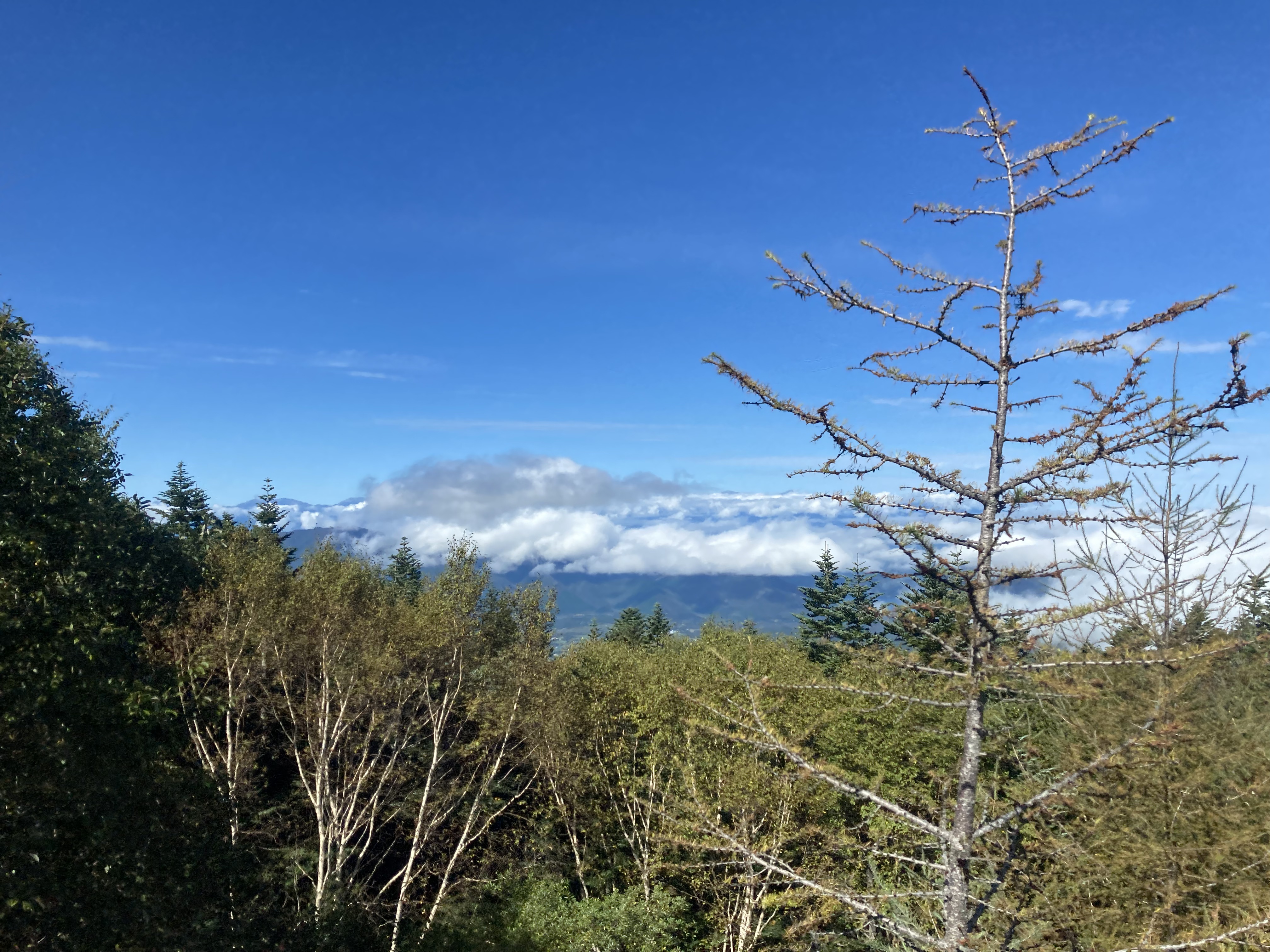 Approaching Mt. Fuji