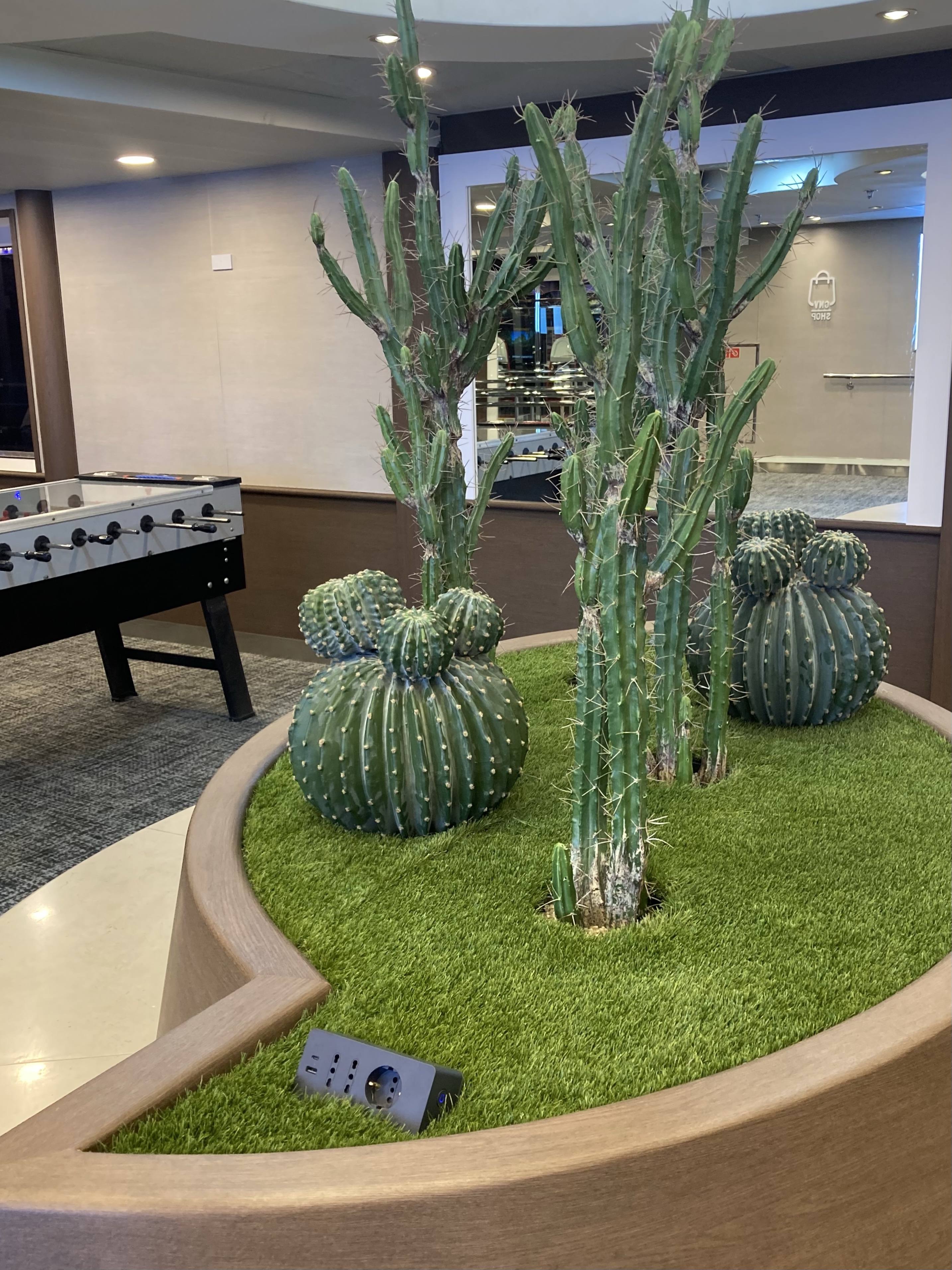 Ferry GNV Sirio indooor decoration (100% plastic)