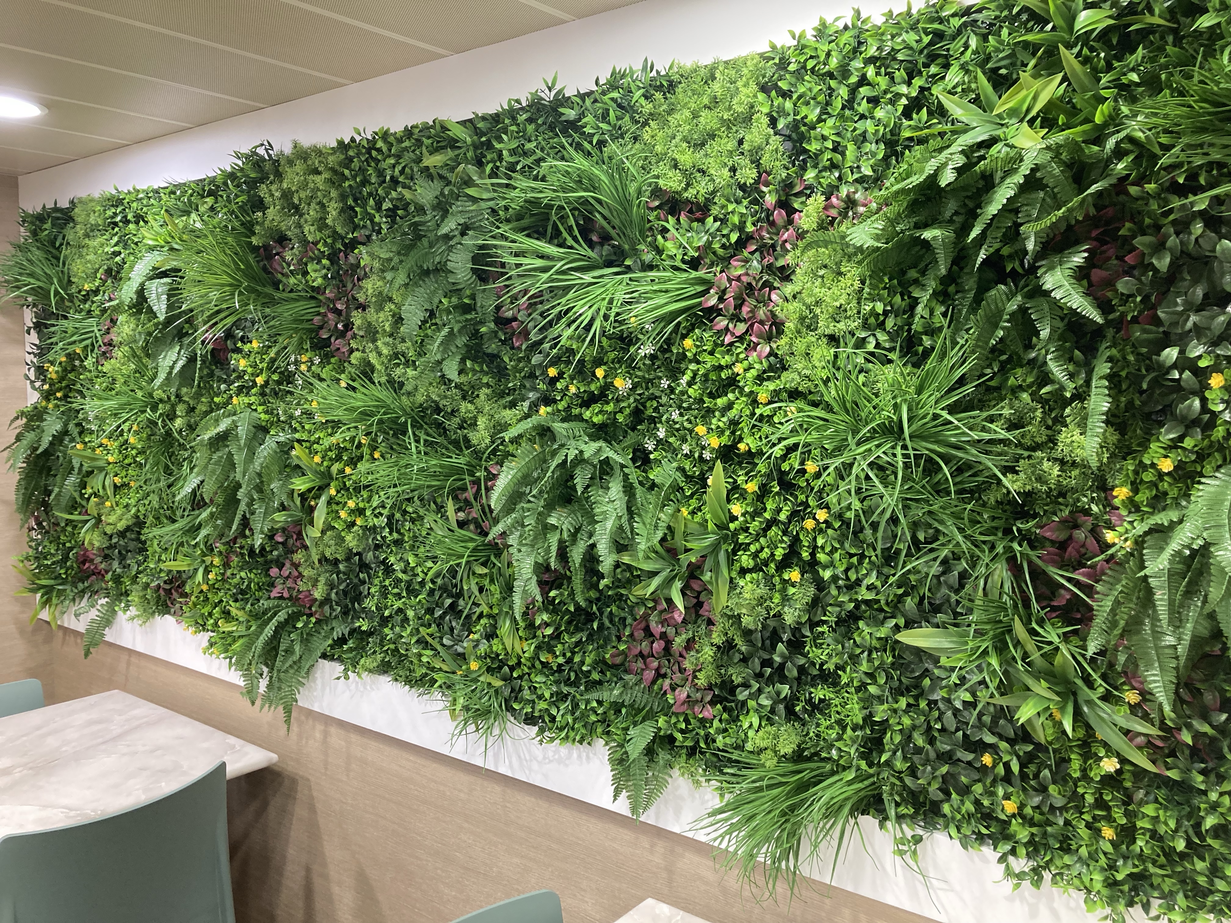 Ferry GNV Sirio "Living Wall" 100% plastic